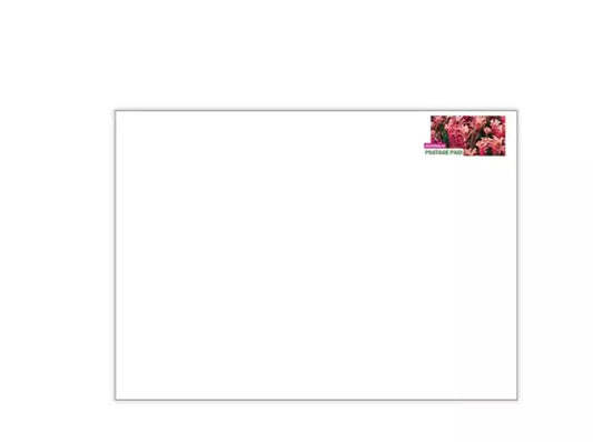 10x Australia Post Prepaid Envelope Large (C4) up to 500g | 10 Envelope Pack image 0